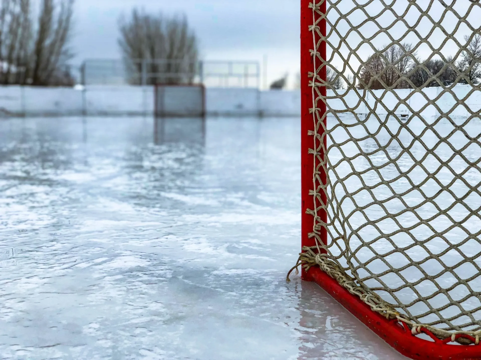 A hockey net on the ice with trees in the background.