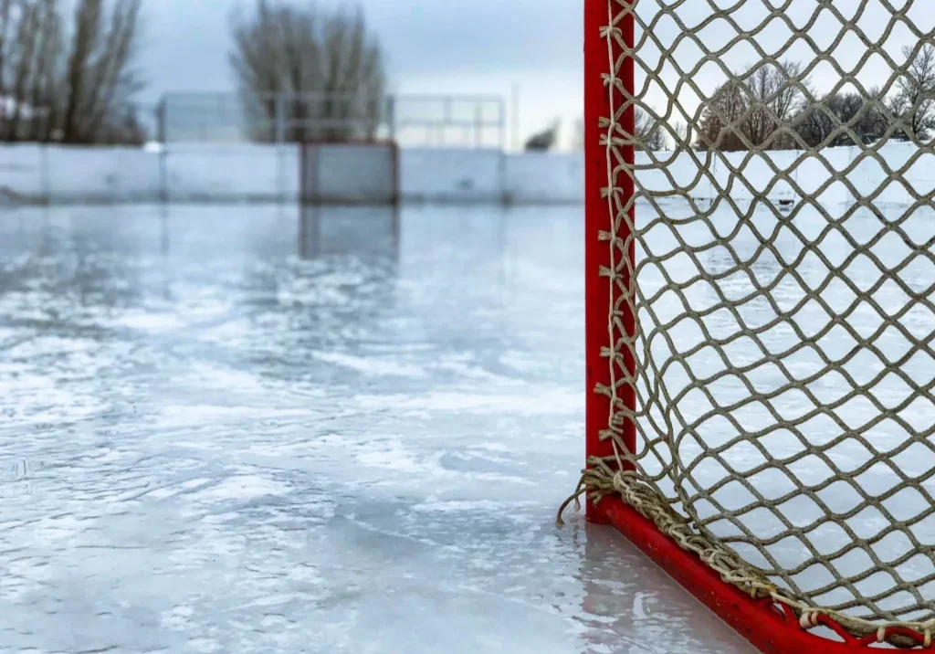 A hockey net on the ice with trees in the background.